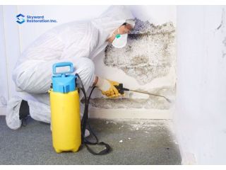 mould-removal-in-saskatoon-protect-your-home-health-small-0