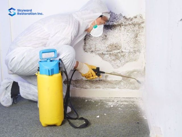 mould-removal-in-saskatoon-protect-your-home-health