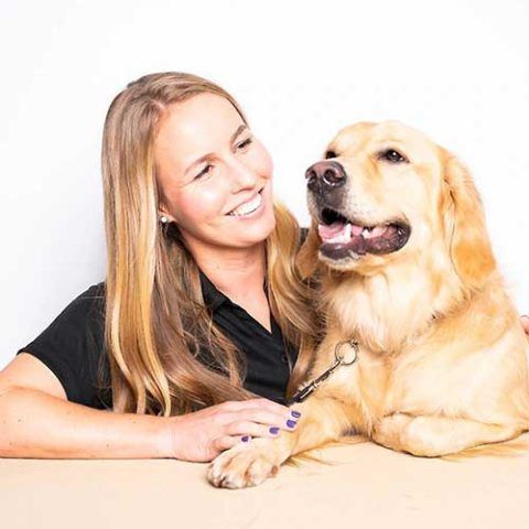 top-dog-trainer-in-scarborough-bark-busters-scarborough-big-0