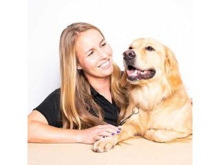 top-dog-trainer-in-scarborough-bark-busters-scarborough-small-0