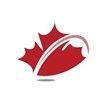 canadian-immigration-consultant-your-2026-success-big-0