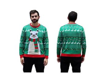 cat-christmas-sweater-small-0