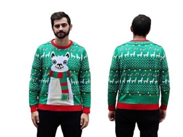 cat-christmas-sweater