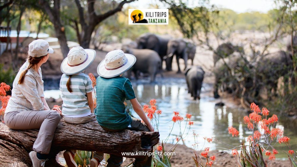best-tours-and-safari-in-tanzania-book-your-dream-adventure-big-0