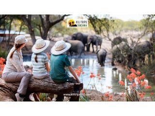 best-tours-and-safari-in-tanzania-book-your-dream-adventure-small-0