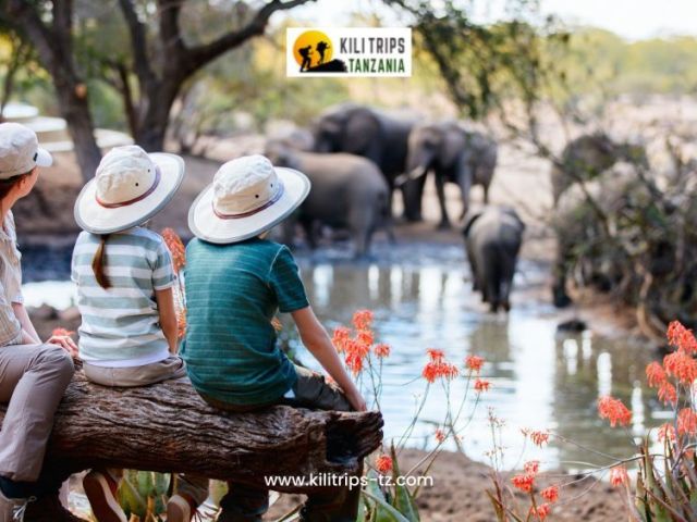 best-tours-and-safari-in-tanzania-book-your-dream-adventure