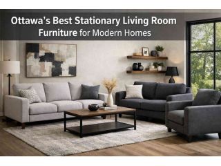 ottawas-best-stationary-living-room-furniture-for-modern-homes-small-0
