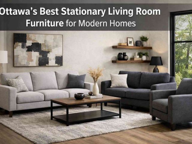 ottawas-best-stationary-living-room-furniture-for-modern-homes