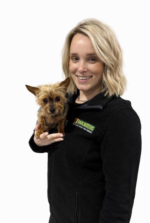 find-the-best-dog-trainer-with-bark-busters-york-region-big-0