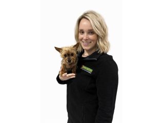 find-the-best-dog-trainer-with-bark-busters-york-region-small-0