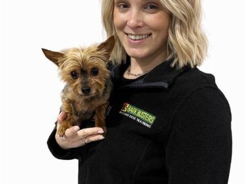 find-the-best-dog-trainer-with-bark-busters-york-region