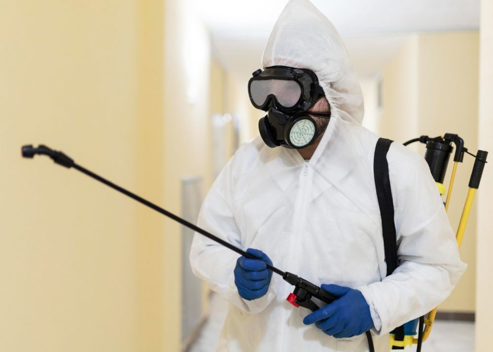 quick-pest-control-service-in-saskatoon-immediate-help-big-0