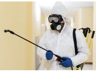 quick-pest-control-service-in-saskatoon-immediate-help-small-0