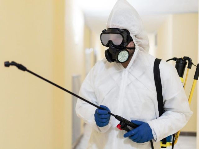 quick-pest-control-service-in-saskatoon-immediate-help