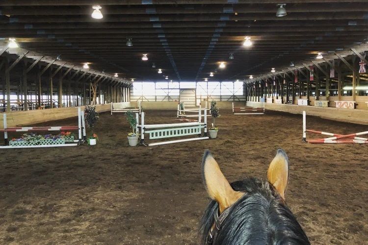 equestrian-riding-near-me-in-vancouver-bc-big-0