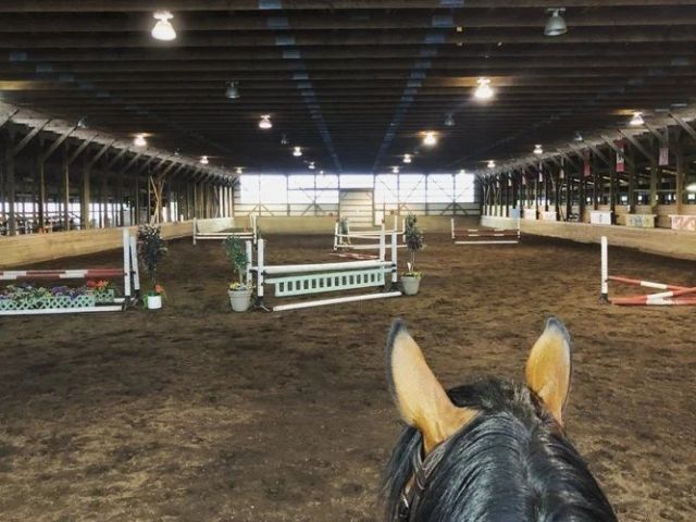 equestrian-riding-near-me-in-vancouver-bc
