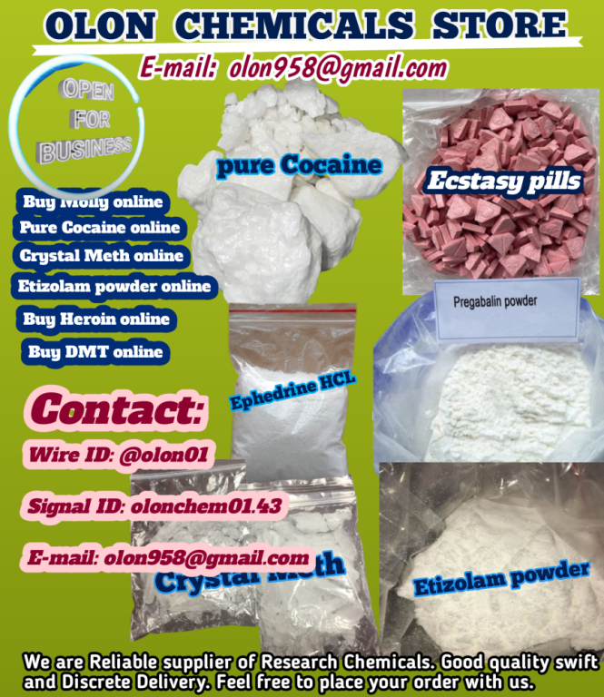 order-m0lly-online-best-prices-big-0
