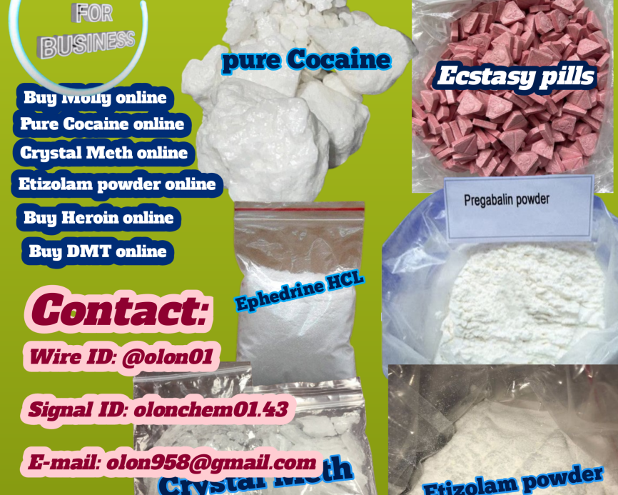 order-m0lly-online-best-prices
