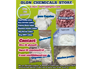 order-m0lly-online-best-prices-small-0