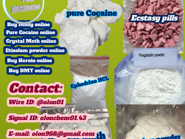 order-m0lly-online-best-prices