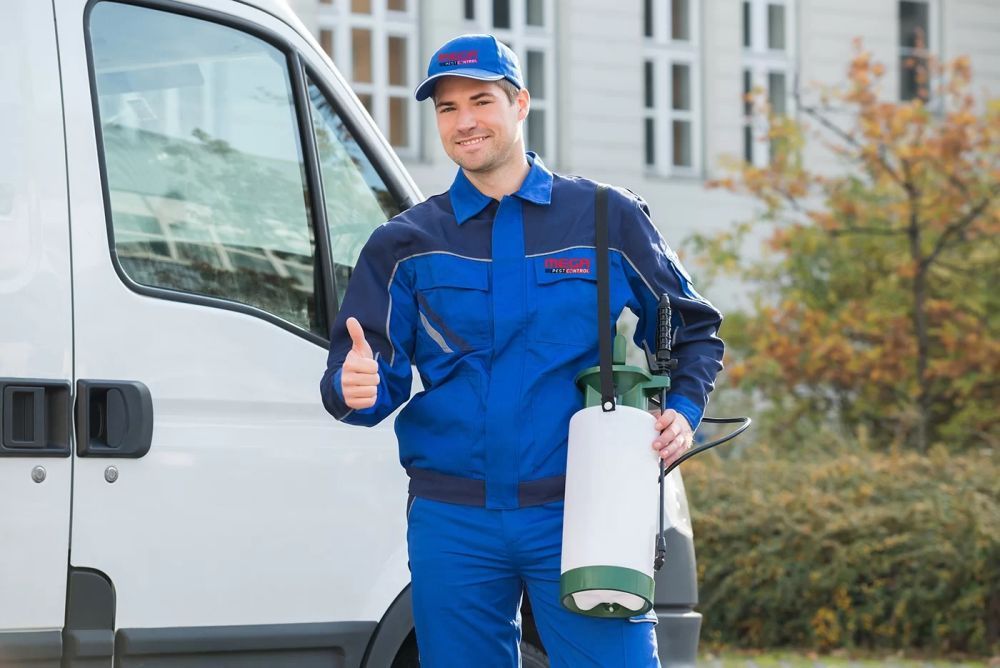 protect-your-business-with-reliable-commercial-pest-control-big-0