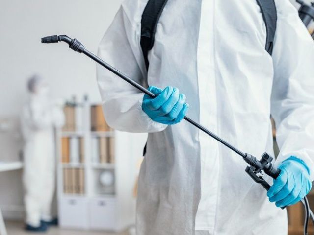 emergency-pest-control-service-in-red-deer-fast-efficient