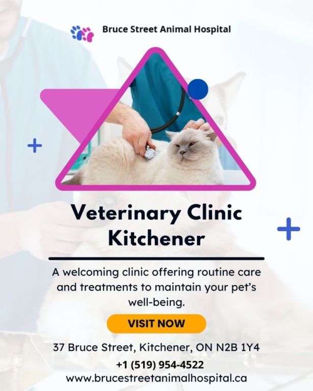 affordable-veterinary-clinic-in-kitchener-big-0