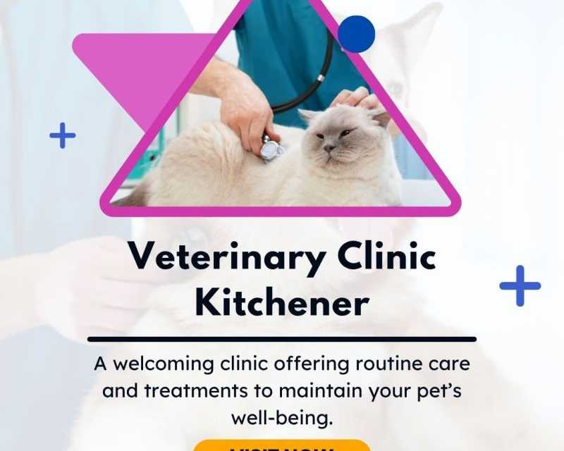 affordable-veterinary-clinic-in-kitchener