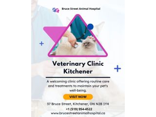 affordable-veterinary-clinic-in-kitchener-small-0
