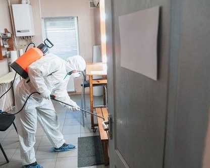effective-advance-pest-control-in-abbotsford