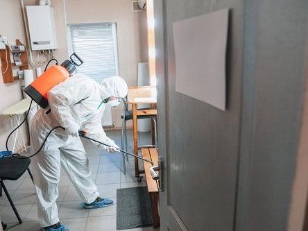 effective-advance-pest-control-in-abbotsford