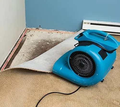 how-can-you-handle-water-damage-in-barrie-quickly-and-safely-big-0