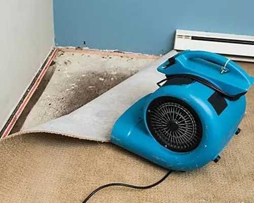 how-can-you-handle-water-damage-in-barrie-quickly-and-safely