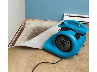 how-can-you-handle-water-damage-in-barrie-quickly-and-safely-small-0