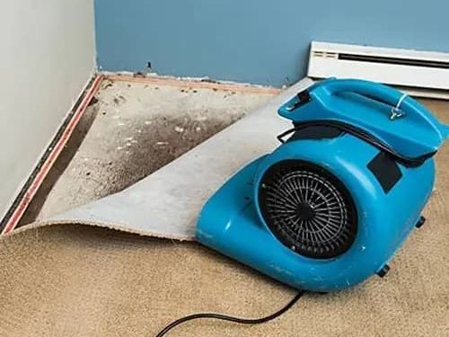 how-can-you-handle-water-damage-in-barrie-quickly-and-safely