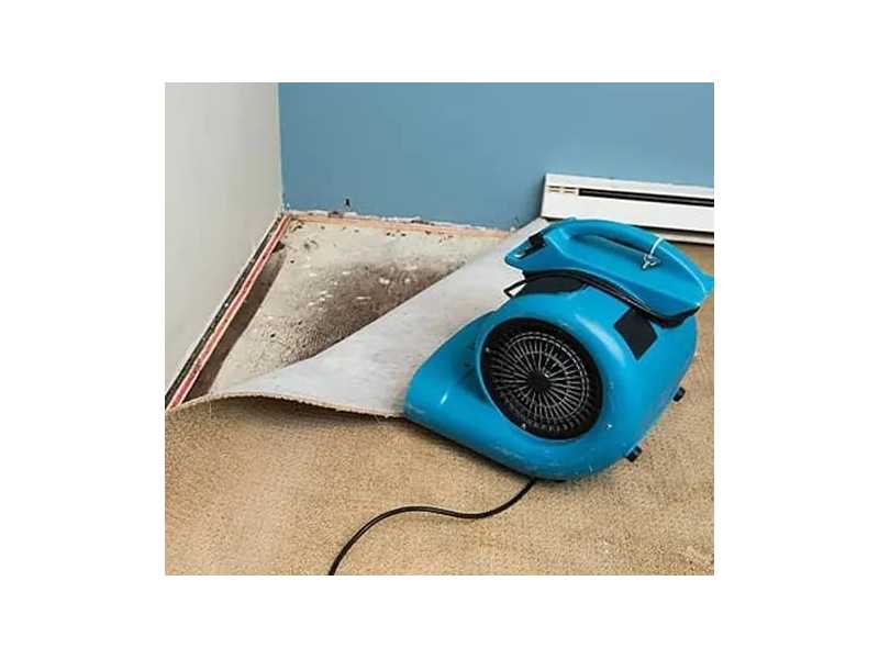 how-can-you-handle-water-damage-in-barrie-quickly-and-safely-small-0