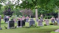 compassionate-cremation-services-with-personalized-support-big-0
