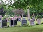compassionate-cremation-services-with-personalized-support