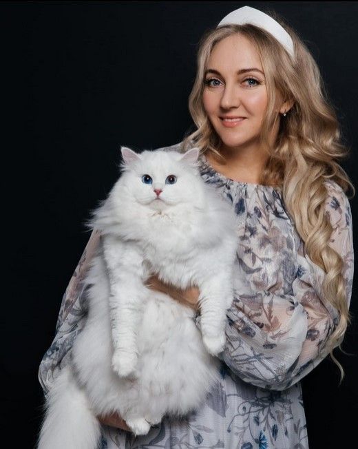 purchase-best-siberian-cats-online-big-0