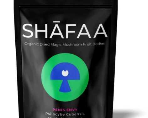 magic-mushrooms-mississauga-online