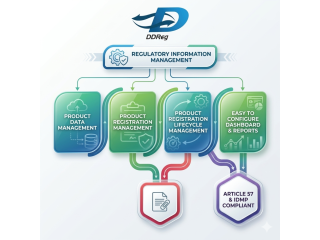 expert-pharmacovigilance-services-in-the-uae-small-0