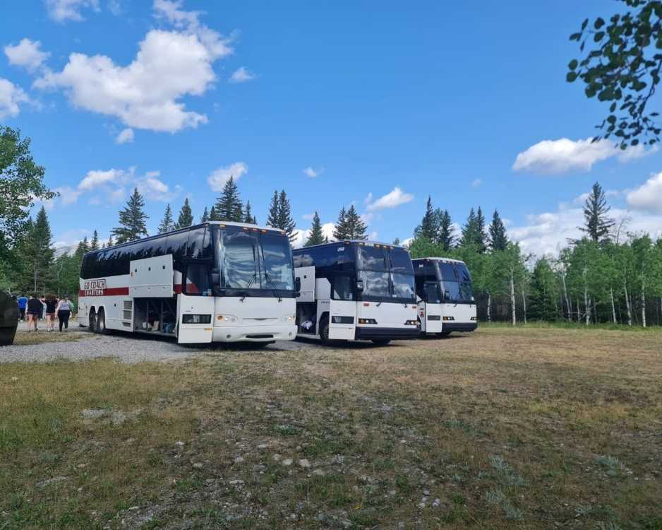 edmonton-charter-bus-rental-safe-comfortable-affordable