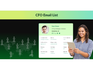 need-accurate-cfo-email-list-from-canada-businesses-small-0