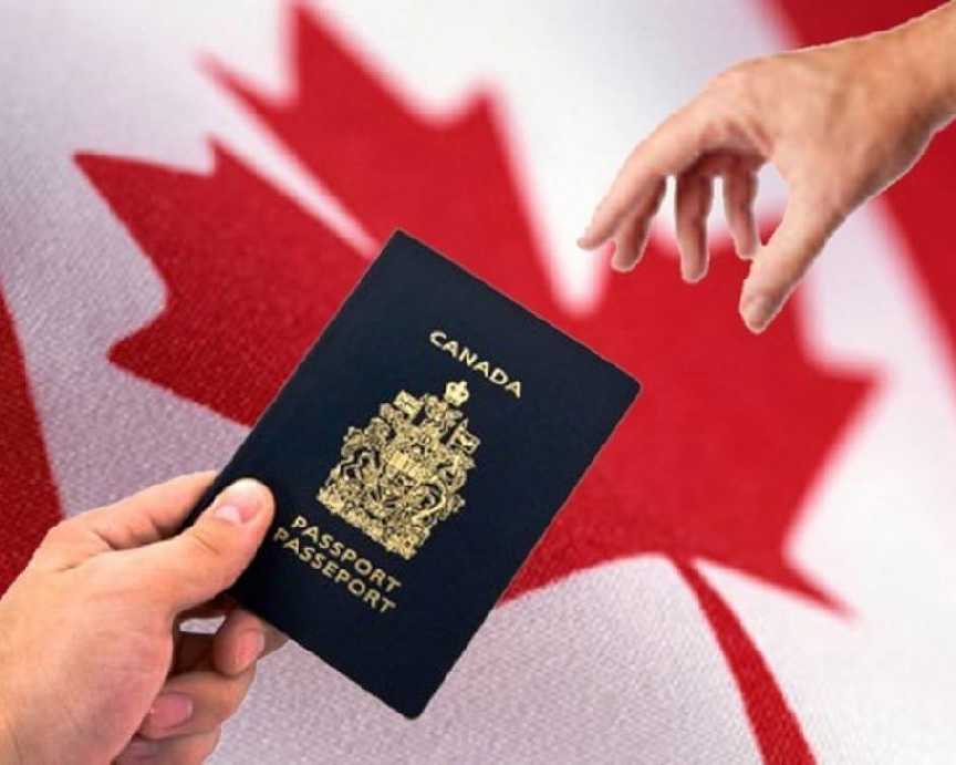 cci-visa-consultant-expert-pr-work-visa-help