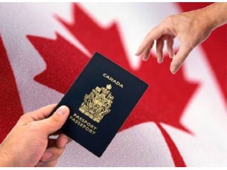 cci-visa-consultant-expert-pr-work-visa-help-small-0