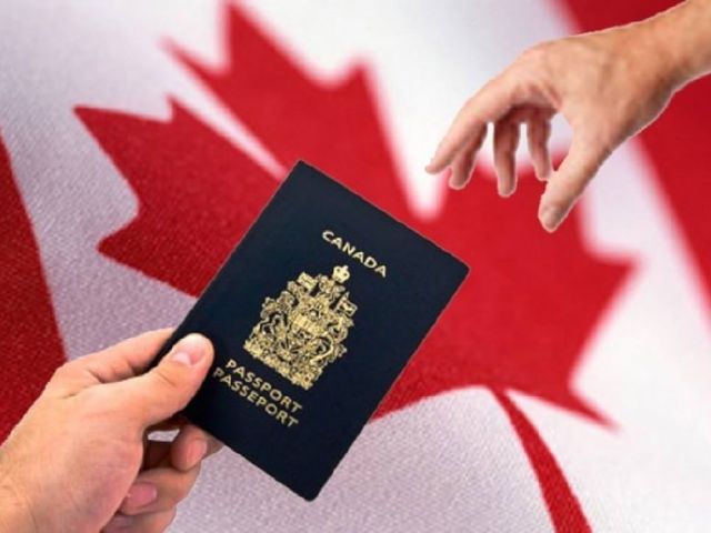 cci-visa-consultant-expert-pr-work-visa-help
