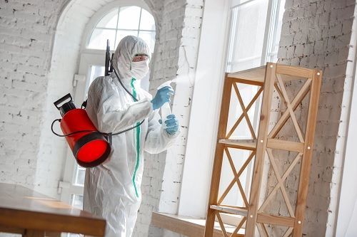 affordable-and-professional-abbotsford-pest-control-services-big-0