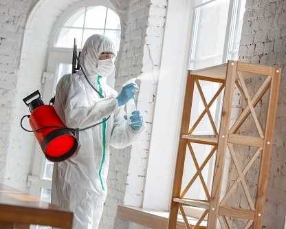 affordable-and-professional-abbotsford-pest-control-services