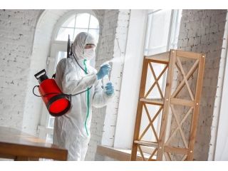 affordable-and-professional-abbotsford-pest-control-services-small-0