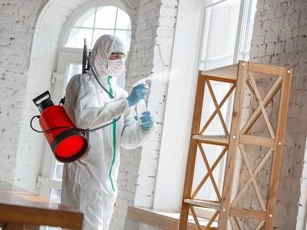 affordable-and-professional-abbotsford-pest-control-services